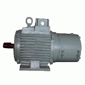 Industrial Brake Motors